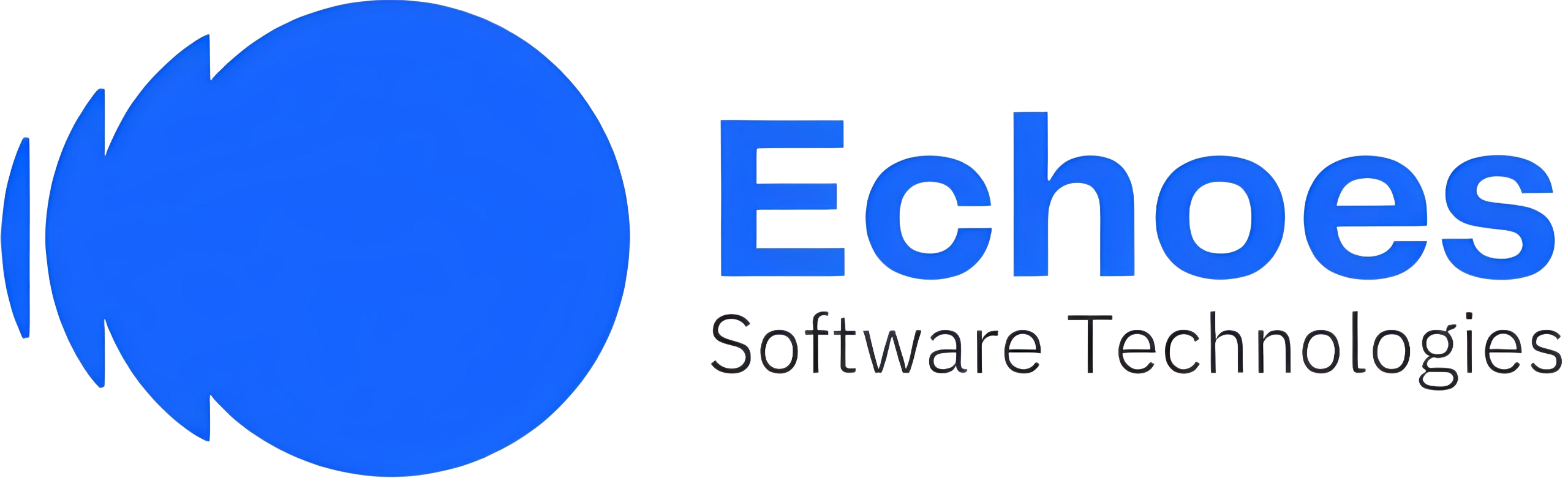 Echoes Software Technologies | Custom Software Development & Digital ...